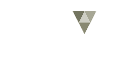 IBVI